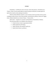 Kelionė po Druskininkus ir Merkinę 3 puslapis