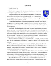 Kelionė po Druskininkus ir Merkinę 9 puslapis