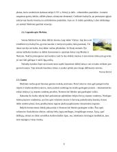 Kelionė po Druskininkus ir Merkinę 10 puslapis