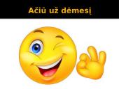 Romas Kalanta (pristatymas) 13 puslapis