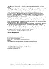 Kelionės į Amsterdamą organizavimas 10 puslapis