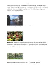 Kelionės į Amsterdamą organizavimas 12 puslapis
