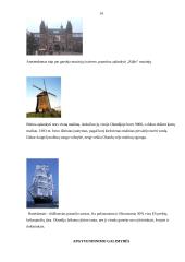 Kelionės į Amsterdamą organizavimas 13 puslapis