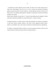 Kelionės į Amsterdamą organizavimas 16 puslapis