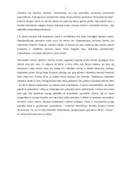 Kelionės į Amsterdamą organizavimas 4 puslapis