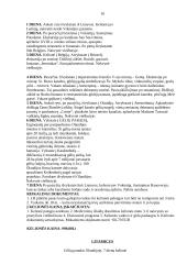 Kelionės į Amsterdamą organizavimas 9 puslapis