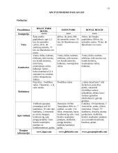 Kelionės organizavimas į Barseloną 15 puslapis