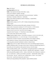 Kelionės organizavimas į Barseloną 16 puslapis