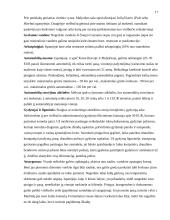 Kelionės organizavimas į Barseloną 17 puslapis