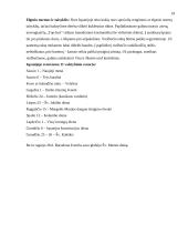 Kelionės organizavimas į Barseloną 18 puslapis