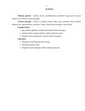 Kelionių agento ir kelionių operatoriaus darbo praktikos ataskaita 3 puslapis