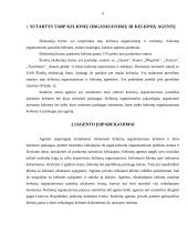 Kelionių agento ir kelionių operatoriaus darbo praktikos ataskaita 4 puslapis