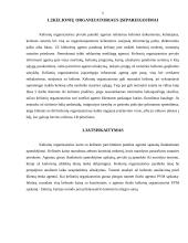 Kelionių agento ir kelionių operatoriaus darbo praktikos ataskaita 5 puslapis