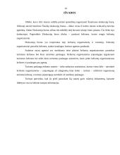 Kelionių agento ir kelionių operatoriaus darbo praktikos ataskaita 10 puslapis