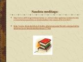 Vaikų ugdymas konkurencinėje visuomenėje 15 puslapis