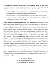 Pilietiškumo ugdymas pradinėje mokykloje 2 puslapis