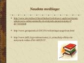 Koks pagyrimas yra veiksmingas? 13 puslapis