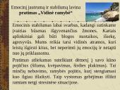 Vaikų emocinio intelekto ugdymas 13 puslapis