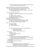 Ugdomosios veiklos diferencijavimas, individualizavimas 2 puslapis