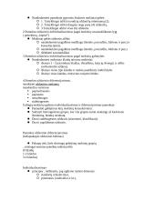 Ugdomosios veiklos diferencijavimas, individualizavimas 3 puslapis