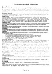 Žaidimai pradiniame ugdyme