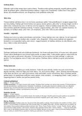 Žaidimai pradiniame ugdyme 3 puslapis