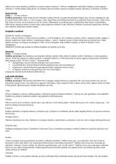 Žaidimai pradiniame ugdyme 6 puslapis