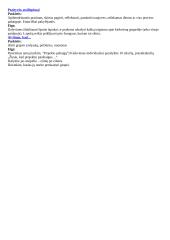 Žaidimai pradiniame ugdyme 9 puslapis