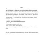 Dviejų draudimo kompanijų kelionės draudimo sutarčių palyginimas 2 puslapis