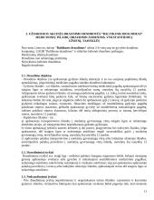 Dviejų draudimo kompanijų kelionės draudimo sutarčių palyginimas 11 puslapis