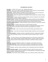 Dviejų draudimo kompanijų kelionės draudimo sutarčių palyginimas 3 puslapis