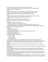 Dviejų draudimo kompanijų kelionės draudimo sutarčių palyginimas 7 puslapis