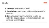 Klaipėdos jūrų uosto infrastruktūros valdymas.  Valstybinio audito ataskaita 17 puslapis
