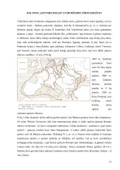 Kelionių motyvų ir tikslų istorinė raida 11 puslapis