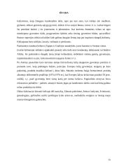 Kelionių motyvų ir tikslų istorinė raida 14 puslapis