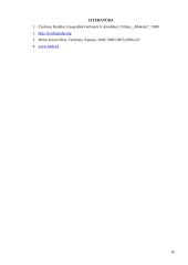 Kelionių motyvų ir tikslų istorinė raida 15 puslapis