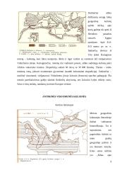 Kelionių motyvų ir tikslų istorinė raida 8 puslapis