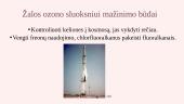 Iškastinio kuro gavimo, perdirbimo, naudojimo keliamos ekologinės problemos ir jų sprendimo būdai 17 puslapis