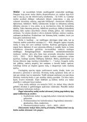 Keramika ir molis 6 puslapis