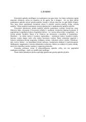 Keraminės vidaus grindų apdailos medžiagos 2 puslapis