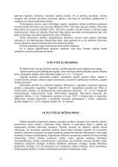 Keraminės vidaus grindų apdailos medžiagos 12 puslapis