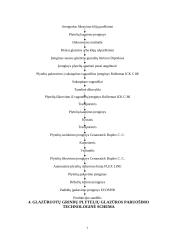 Keraminės vidaus grindų apdailos medžiagos 7 puslapis