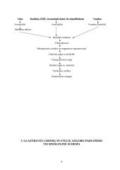 Keraminės vidaus grindų apdailos medžiagos 8 puslapis