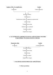 Keraminės vidaus grindų apdailos medžiagos 9 puslapis
