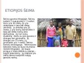 Italijos ir Etiopijos šeimų gyvenimai 5 puslapis