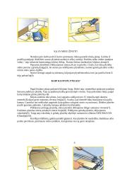 Keraminių plytelių grindų danga 7 puslapis