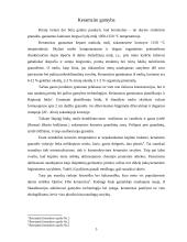 Keramzitas. Jo gamyba, savybės, panaudojimas 5 puslapis