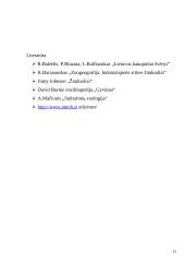 Kiaulių ir hipopotamų paplitimas ir įvairovė 13 puslapis