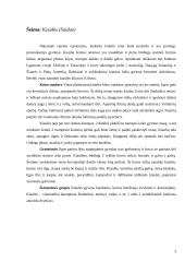 Kiaulių ir hipopotamų paplitimas ir įvairovė 3 puslapis