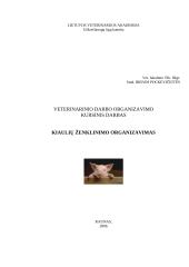 Kiaulių ženklinimo organizavimas 1 puslapis